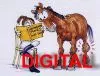 Pferde-Nothilfekurs Digital