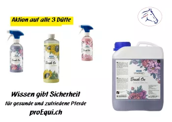 Aktion Stübben Aktion Stübben