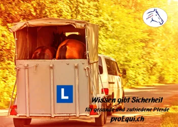 Lernfahrten Beifahrer